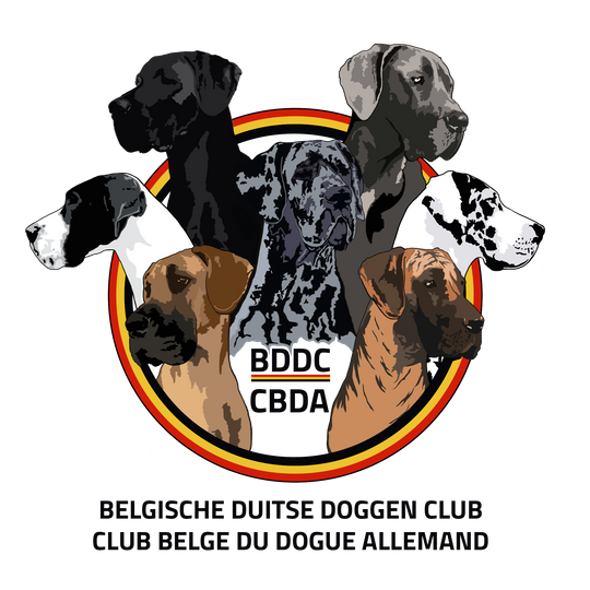 Belgische Duitse Doggen Club / Club Belge du Dogue